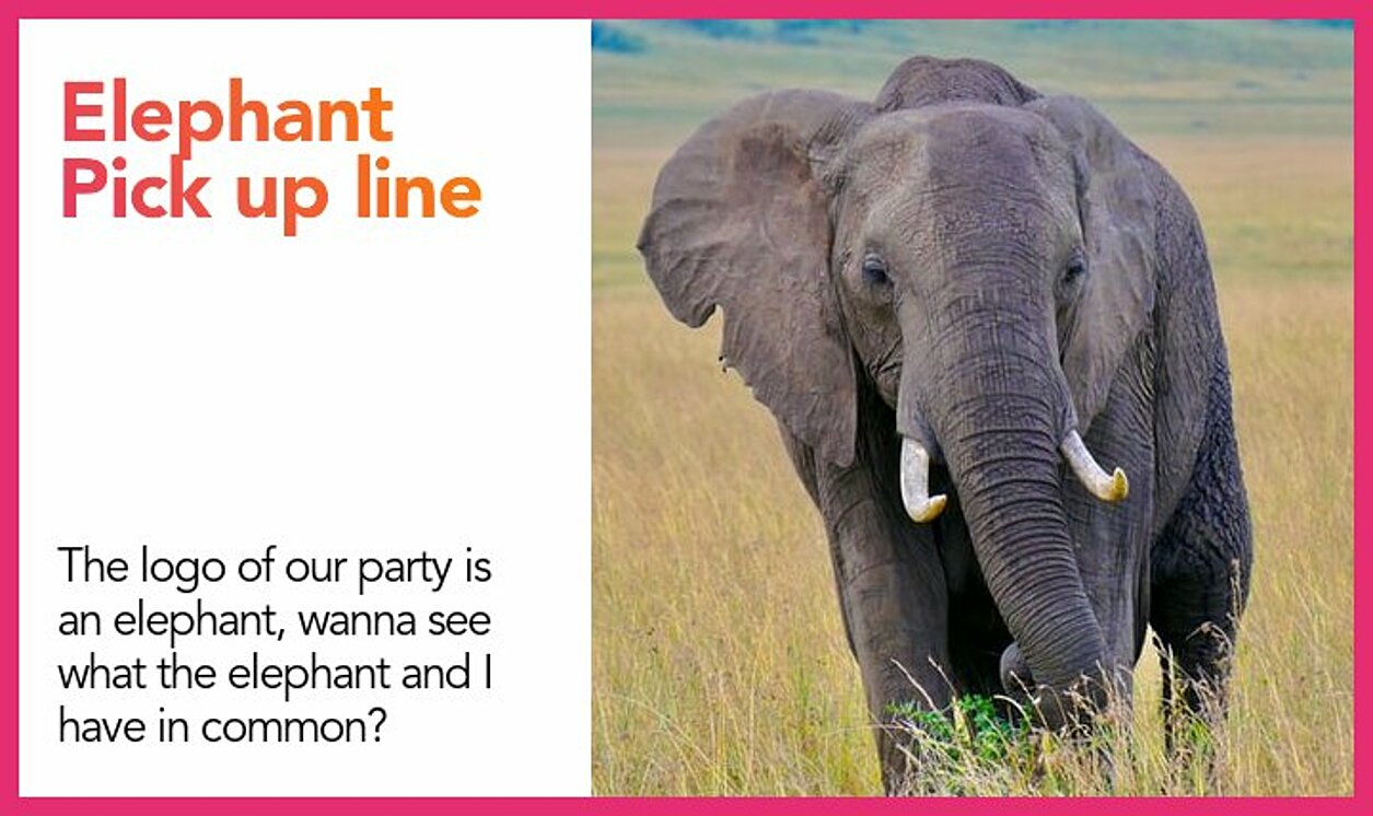 elephant pickup line