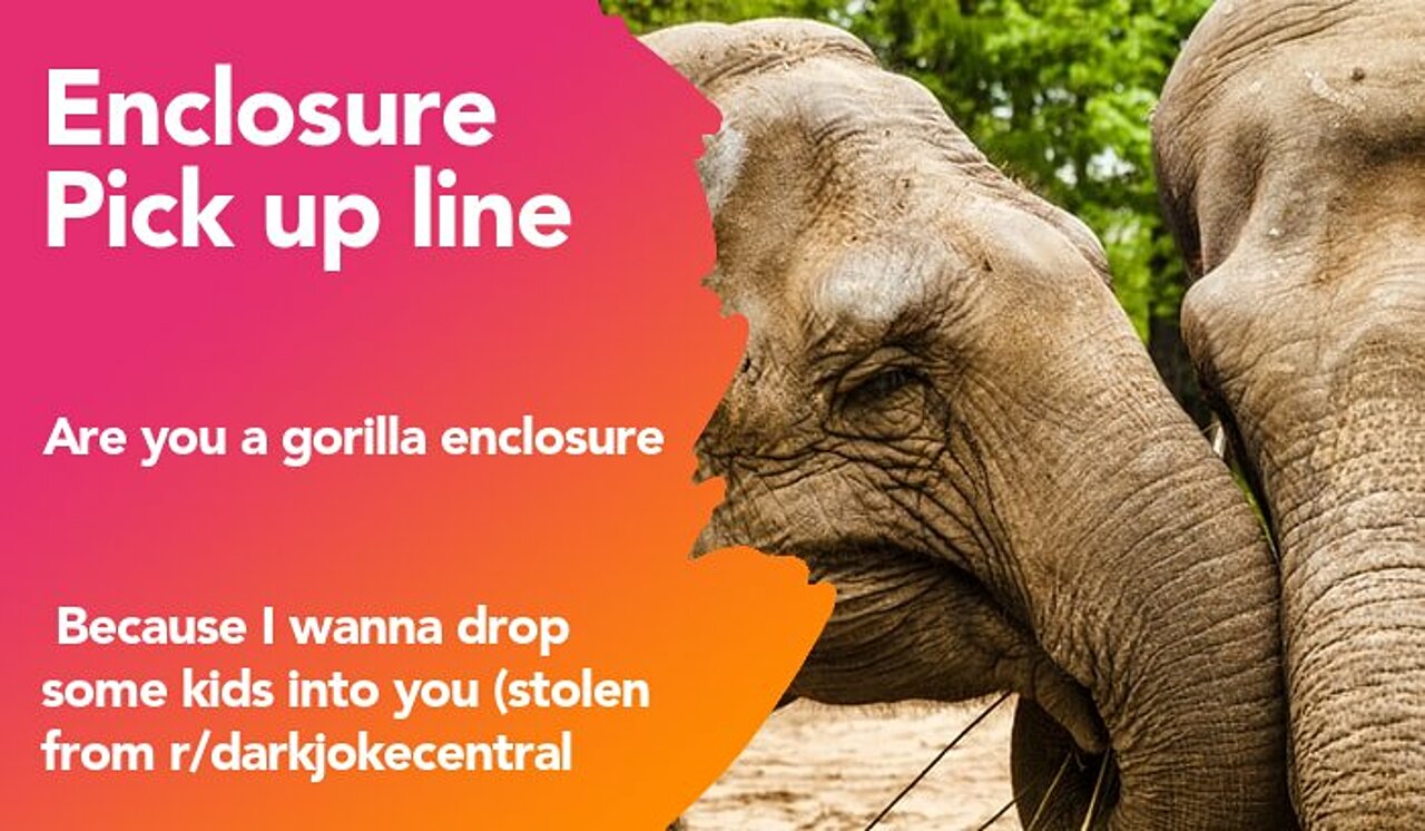 enclosure pickup line
