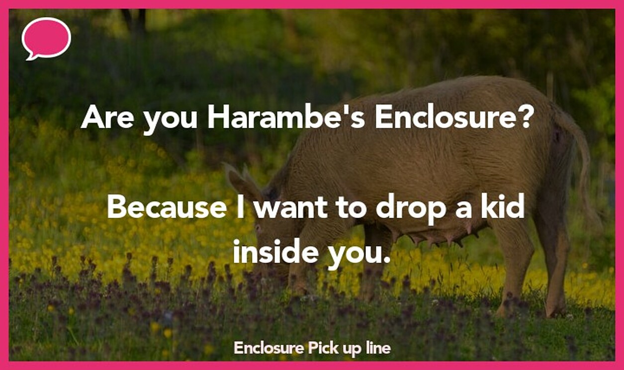 enclosure pickup line