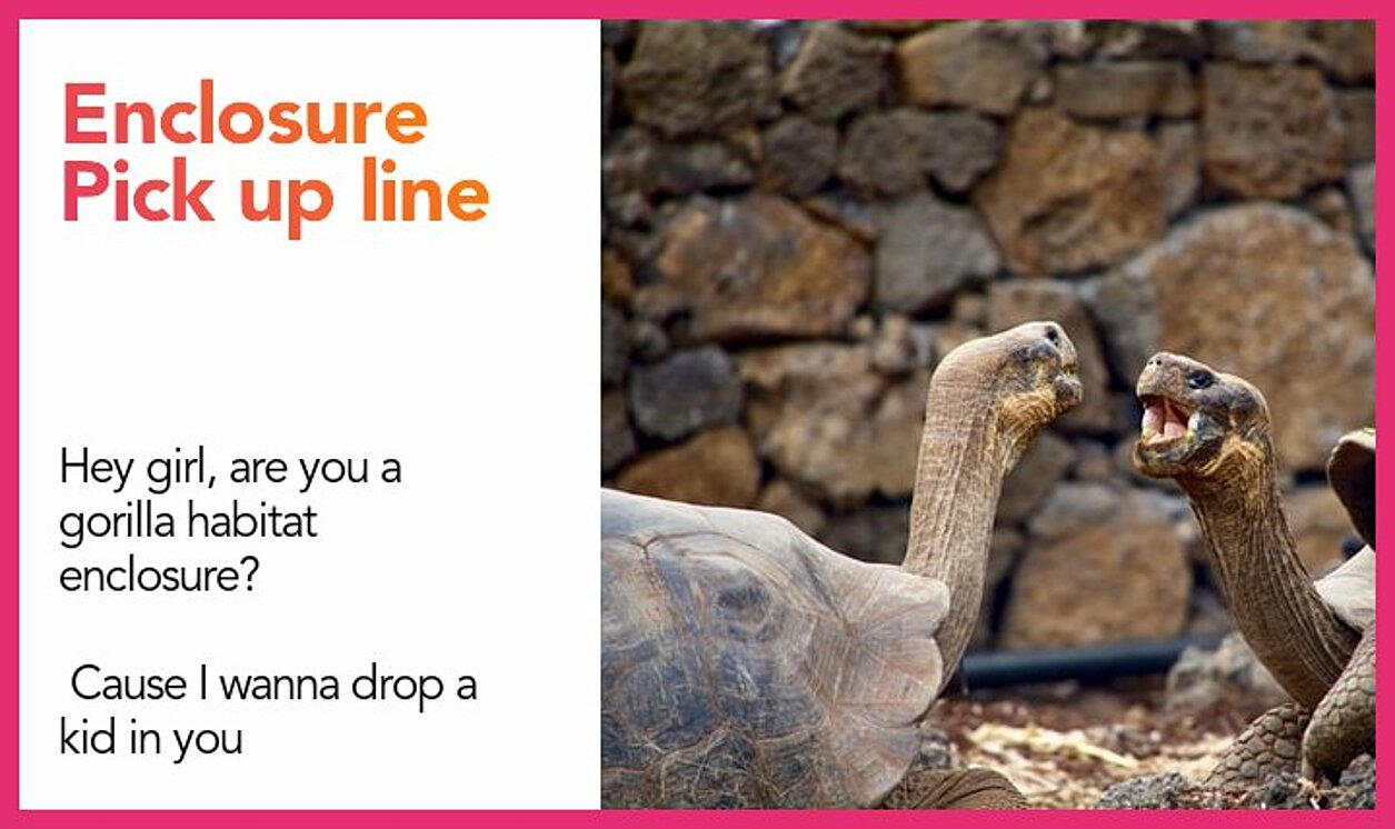 enclosure pickup line