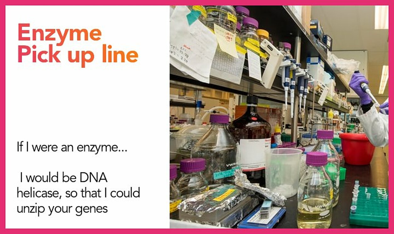 enzyme pickup line