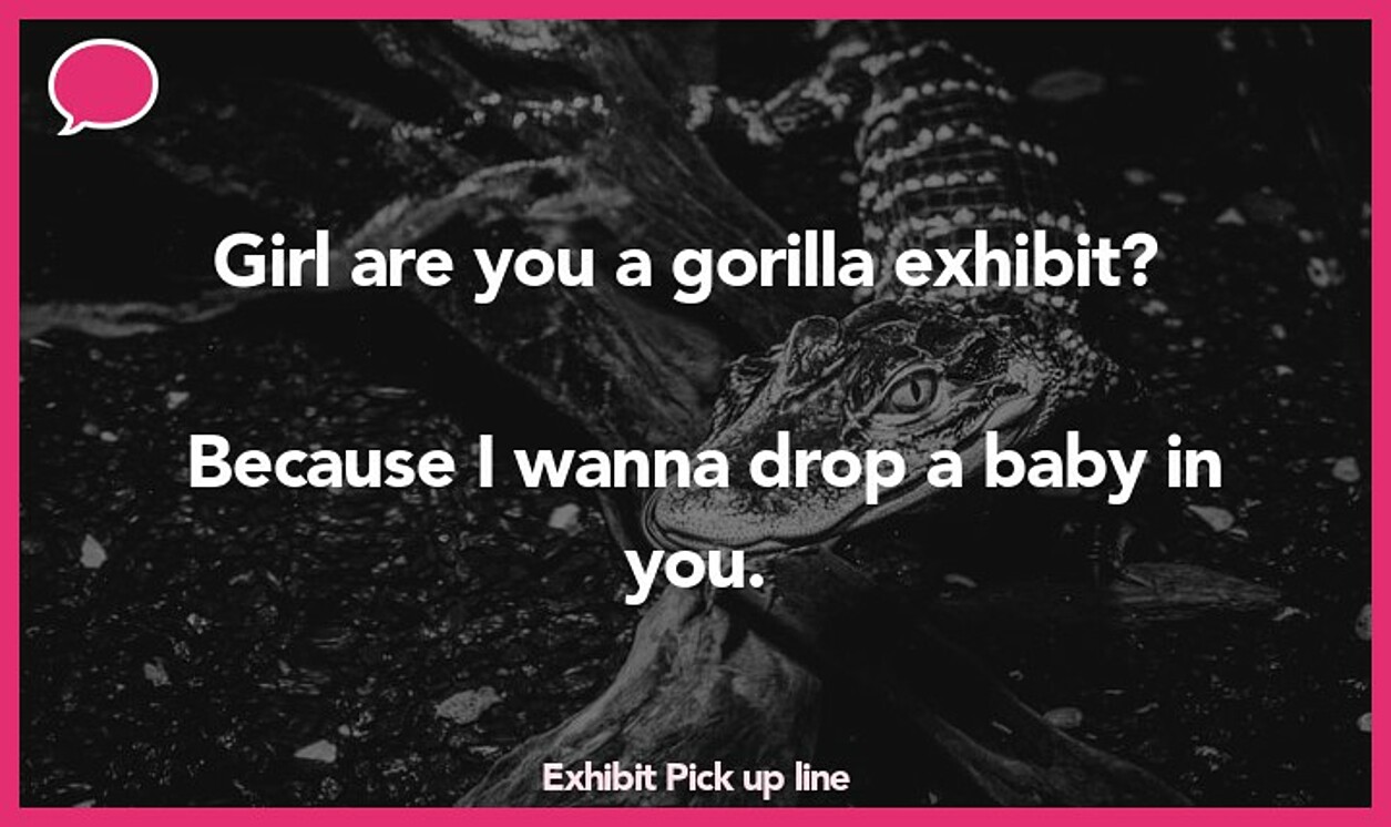 exhibit pickup line