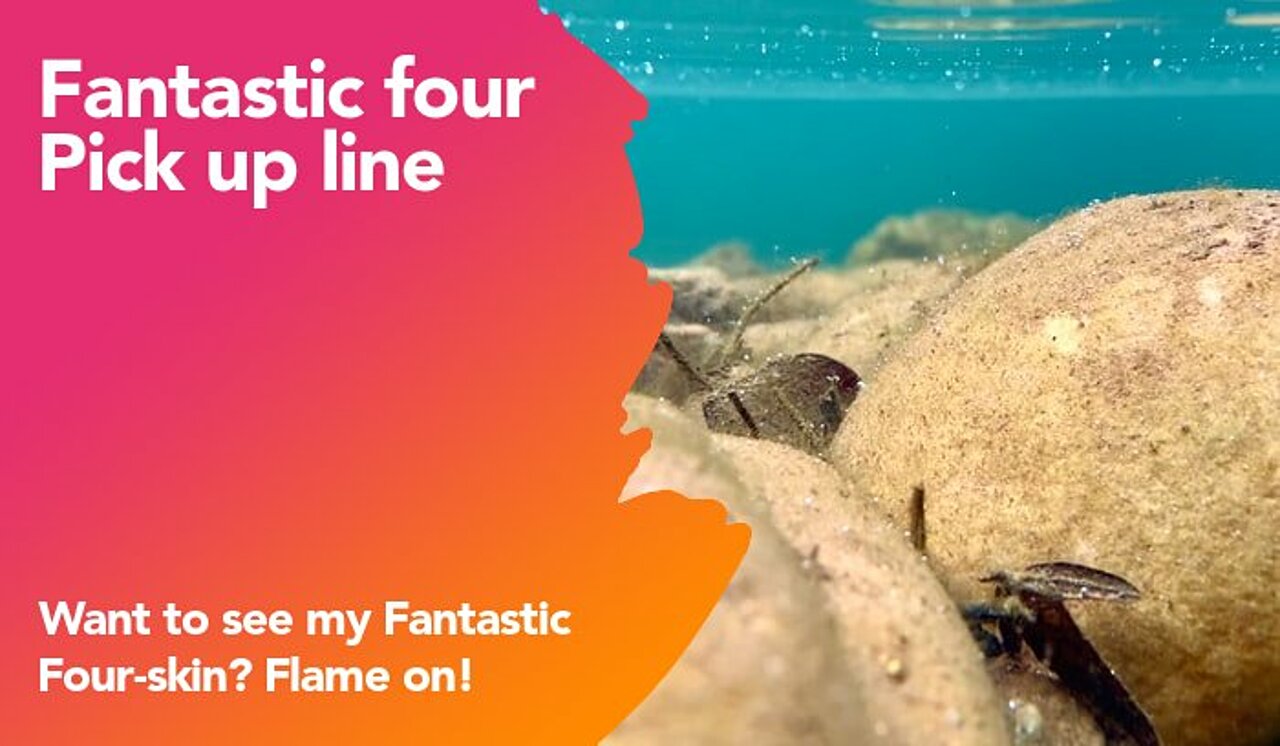 fantastic four pickup line