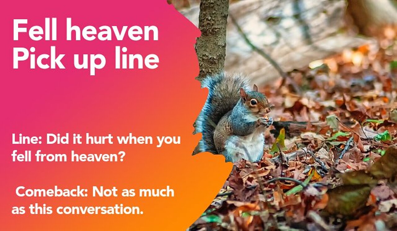 fell heaven pickup line