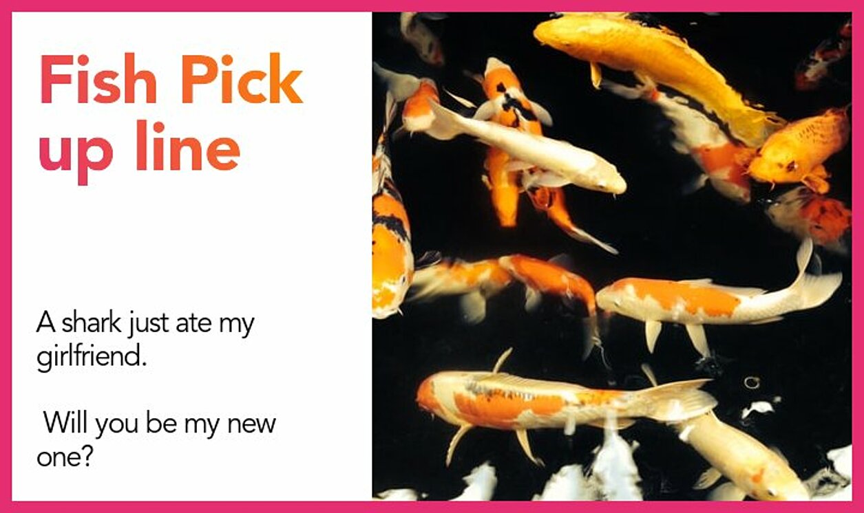 fish pickup line