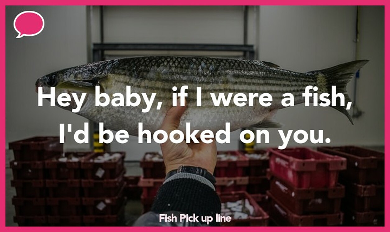 fish pickup line