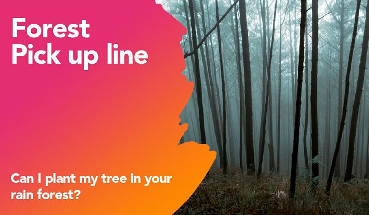 Tree Pick up lines