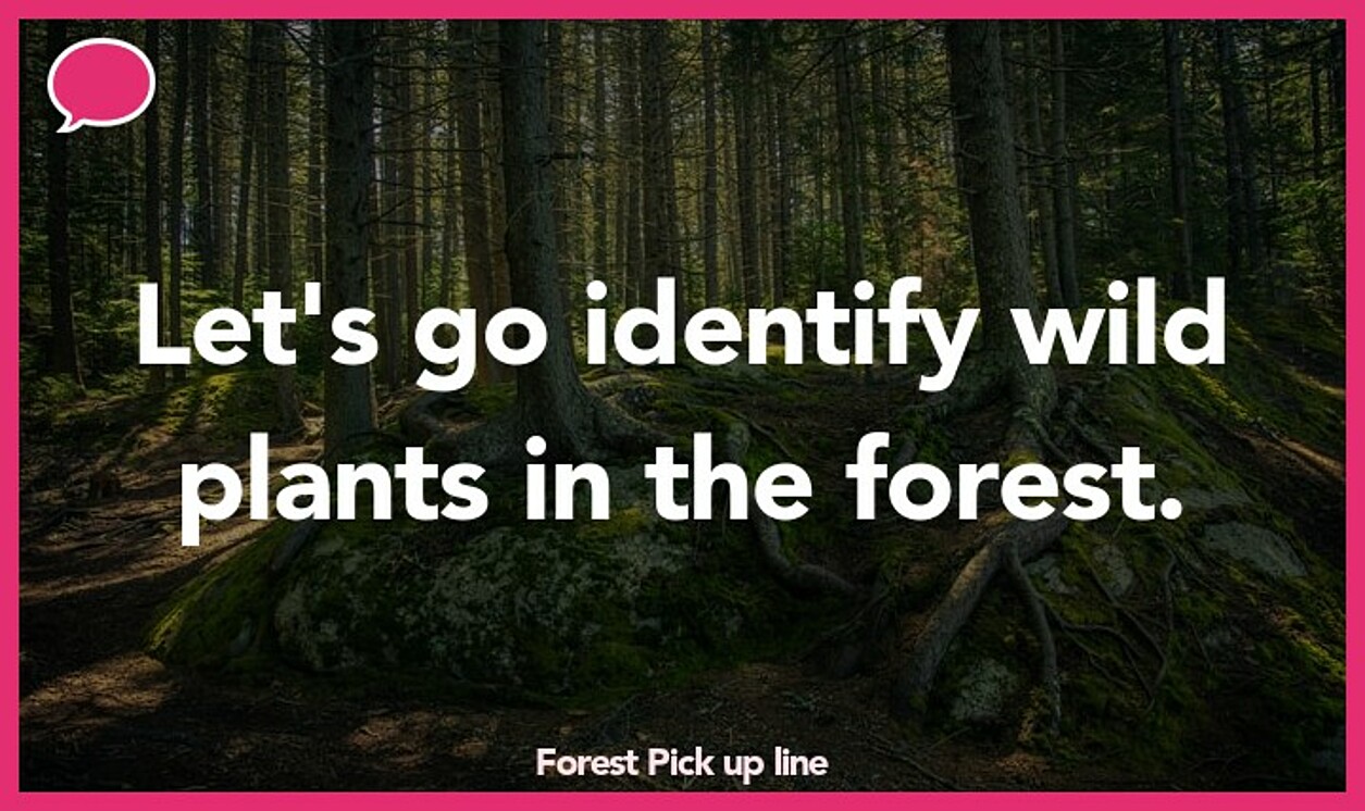 forest pickup line