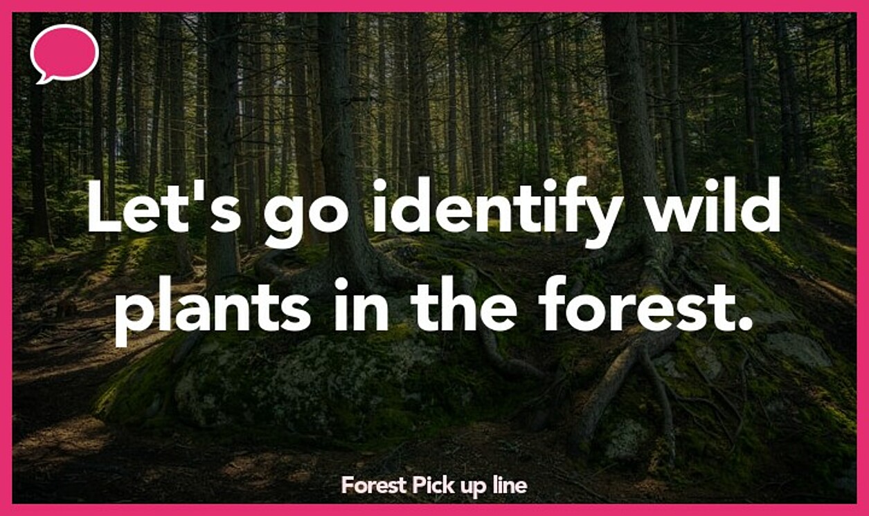 Pick up lines about forestry why use tinder gold