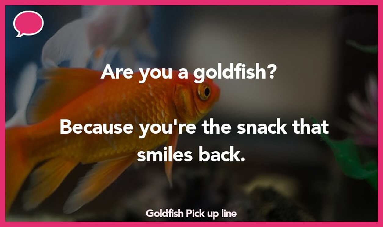 goldfish pickup line