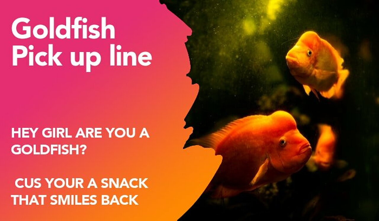 goldfish pickup line
