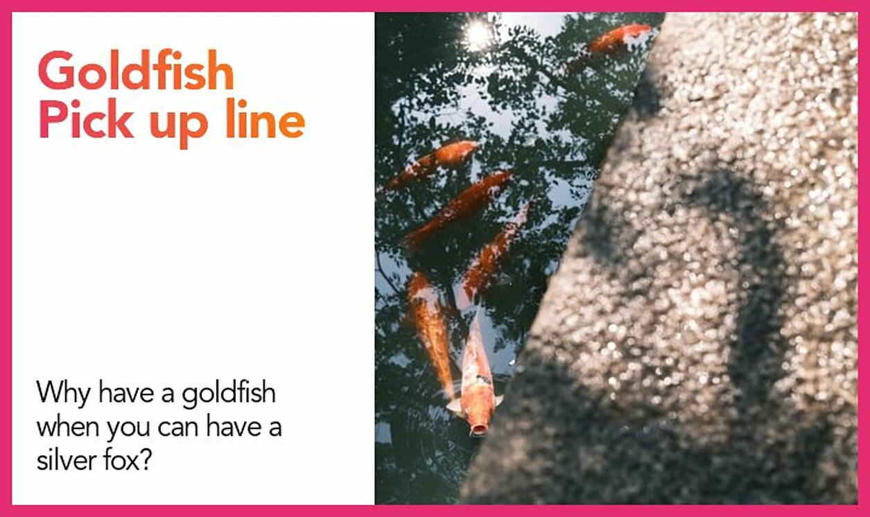 goldfish pickup line