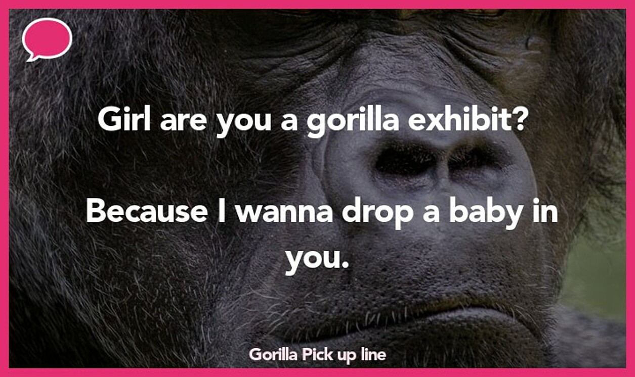 gorilla pickup line