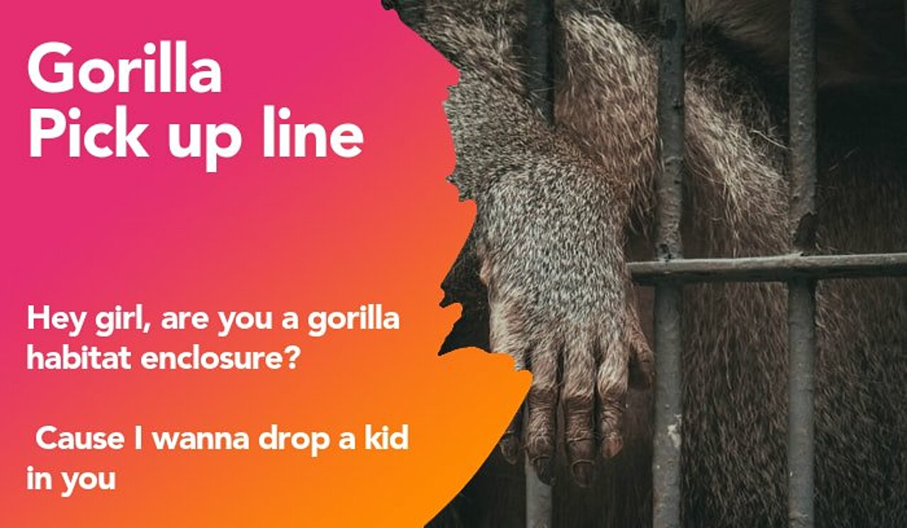 gorilla pickup line