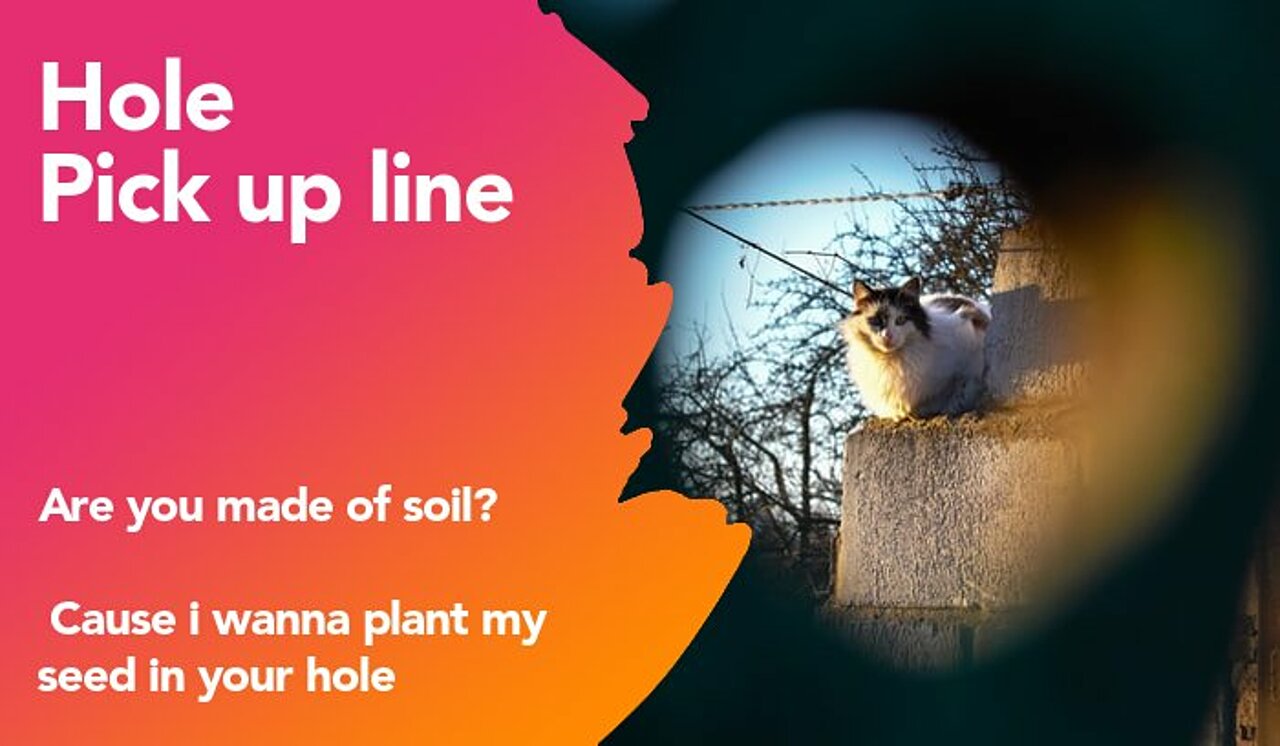 hole pickup line