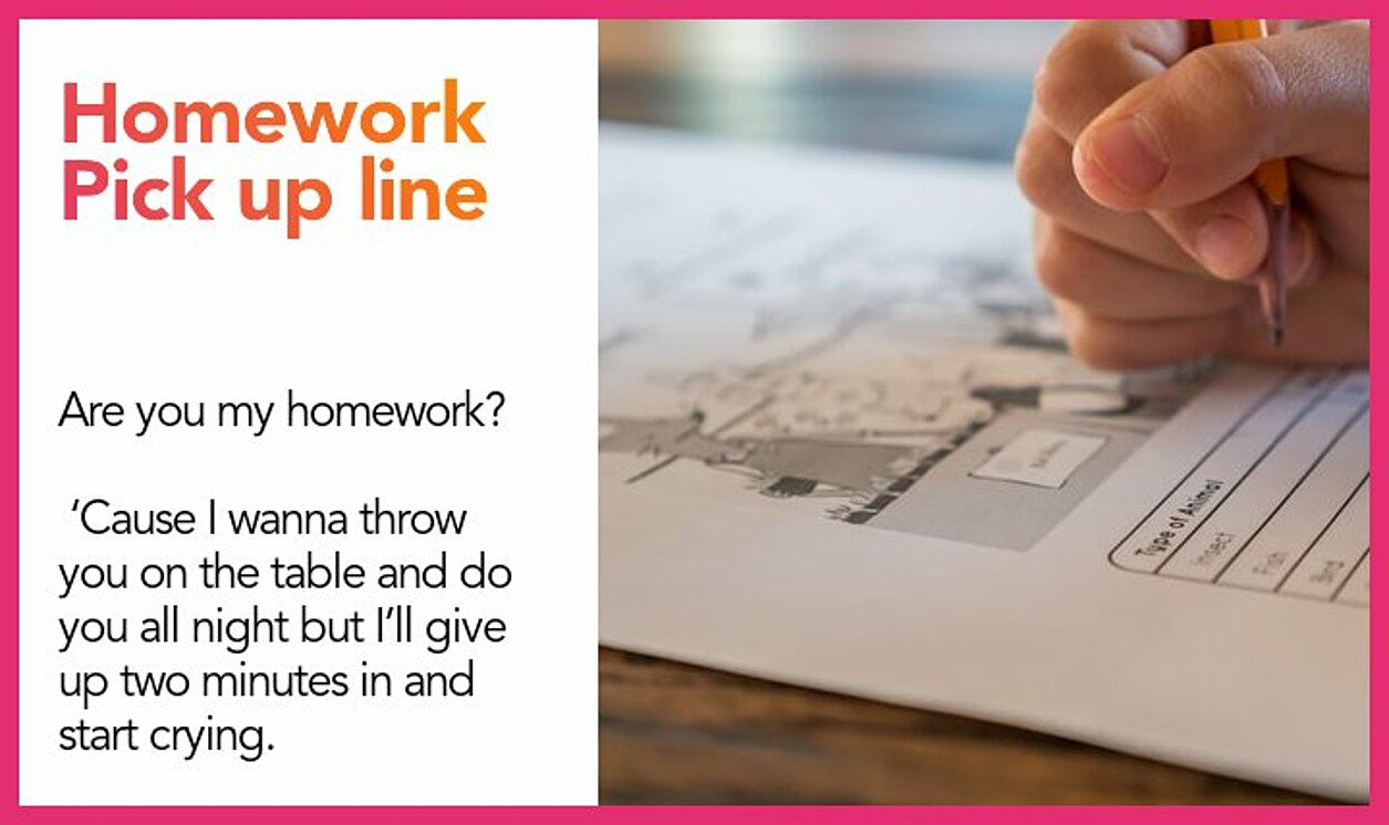 are you my homework pick up line comeback