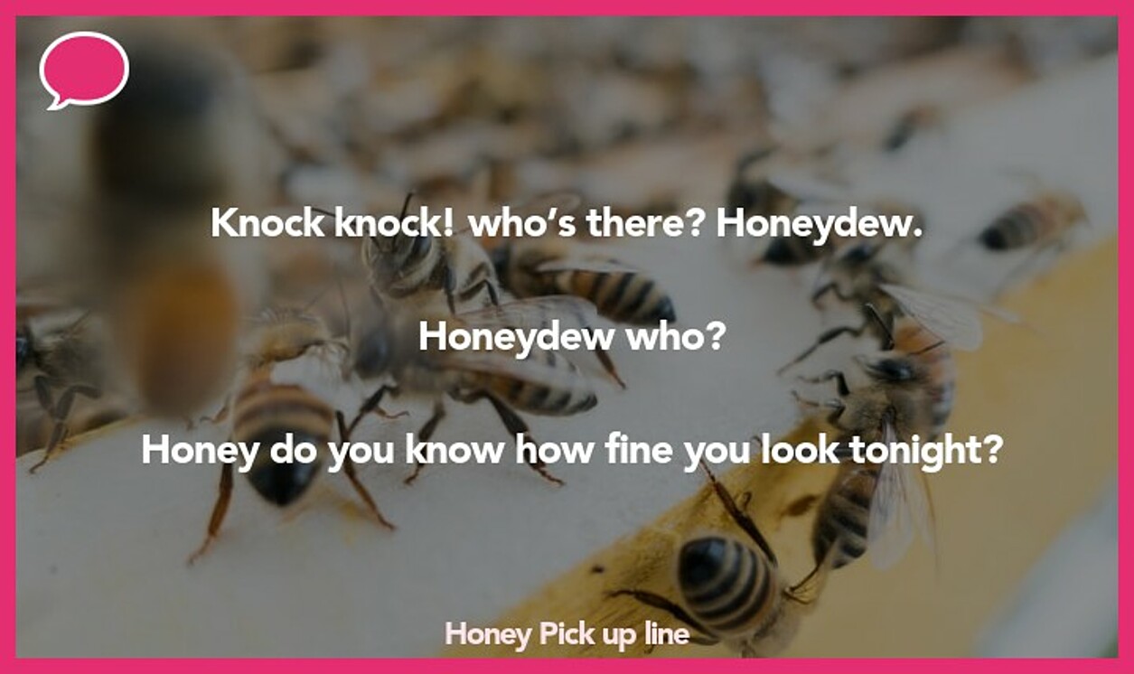 honey pickup line