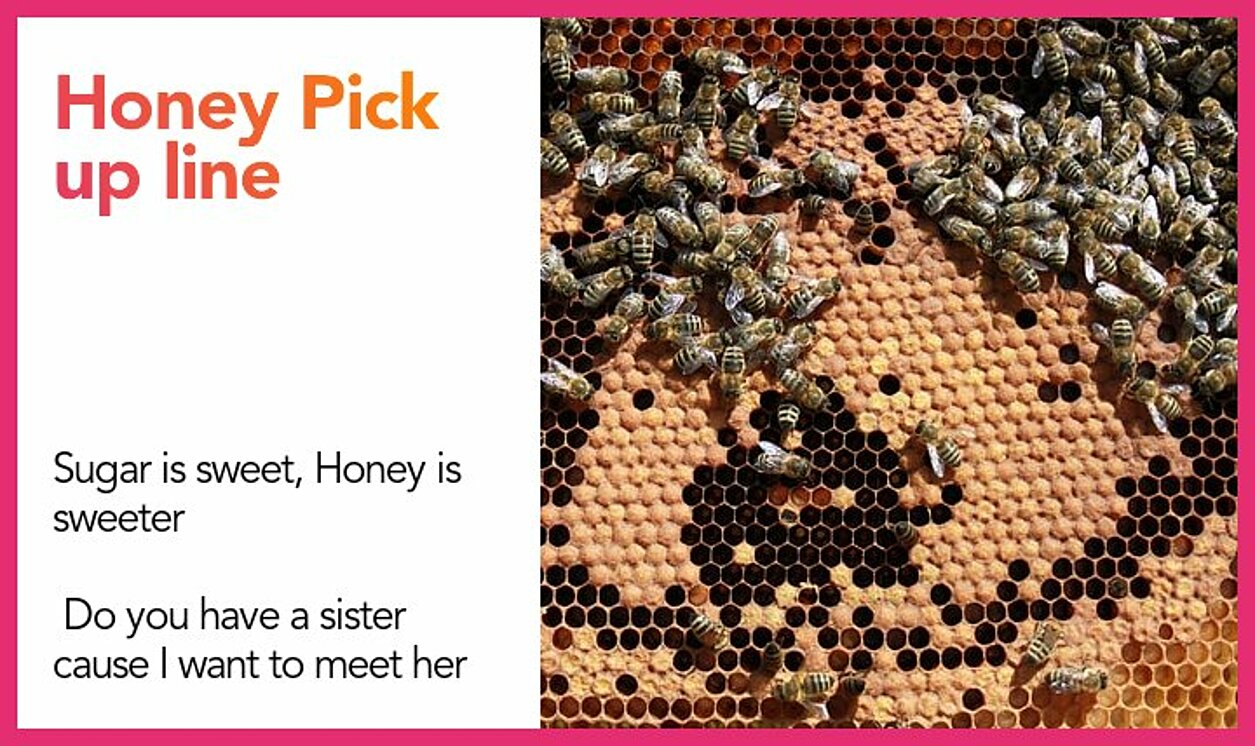 honey pickup line