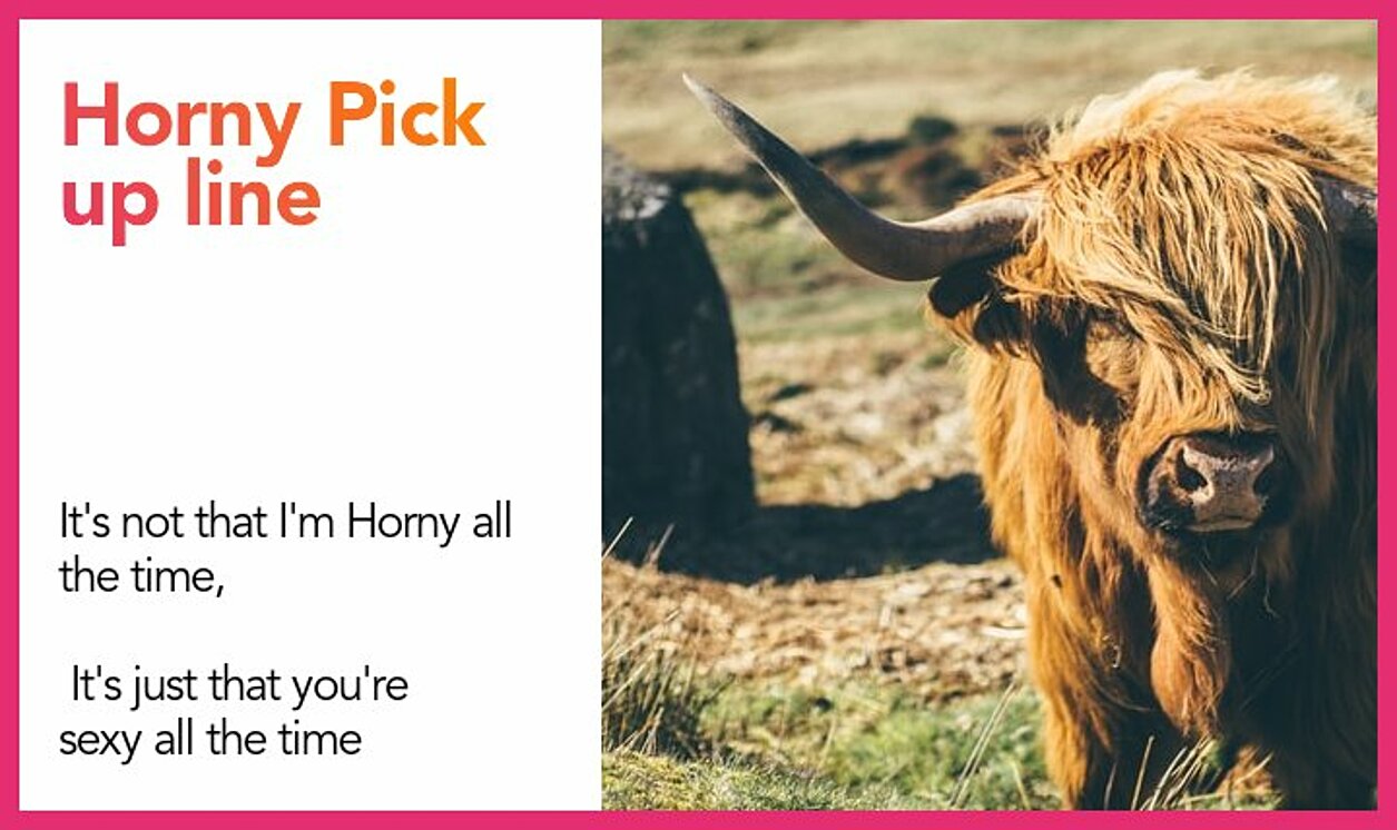 horny pickup line