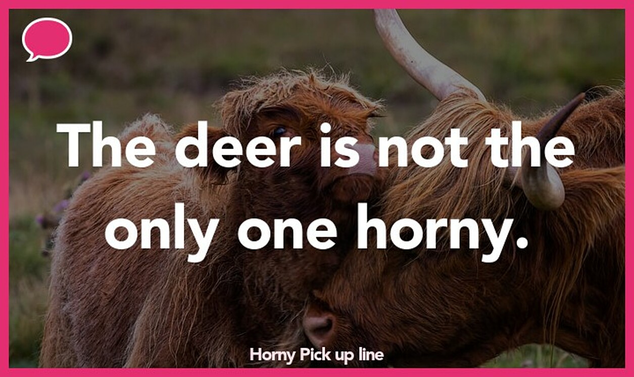 horny pickup line