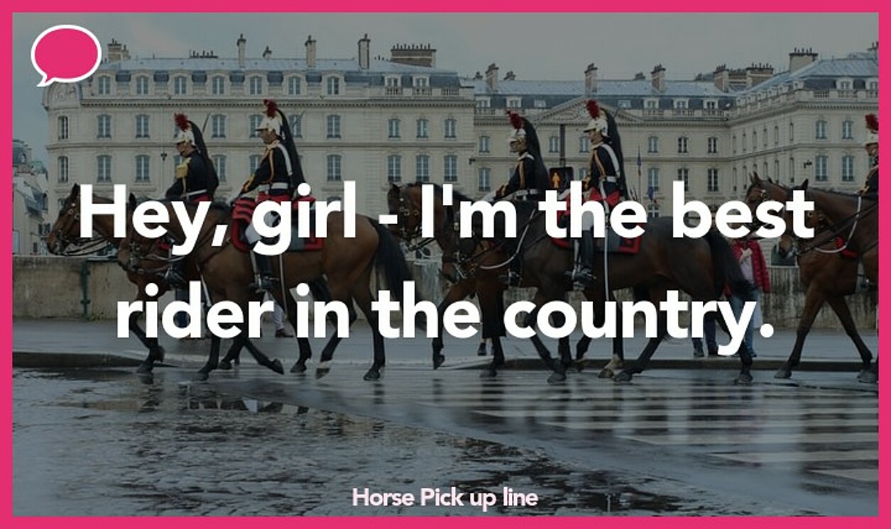 horse pickup line