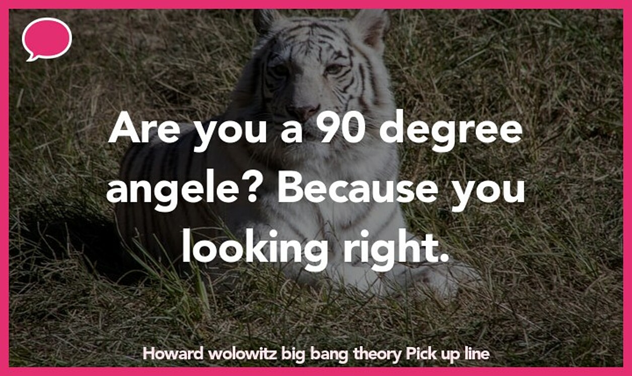 howard wolowitz big bang theory pickup line