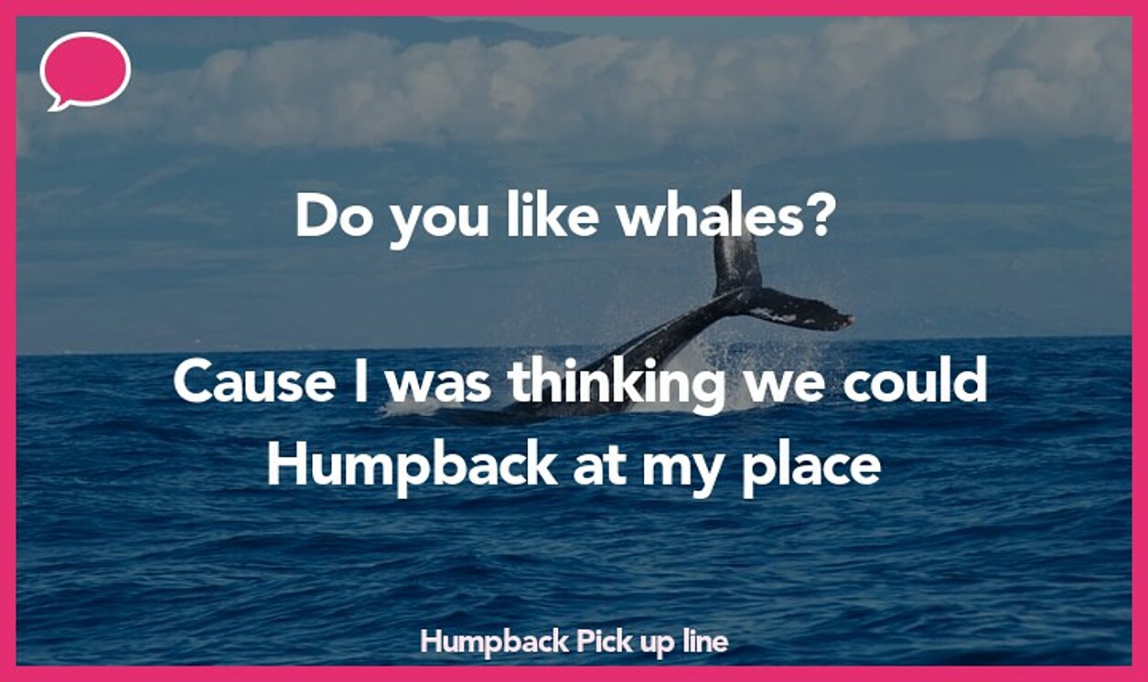 humpback pickup line
