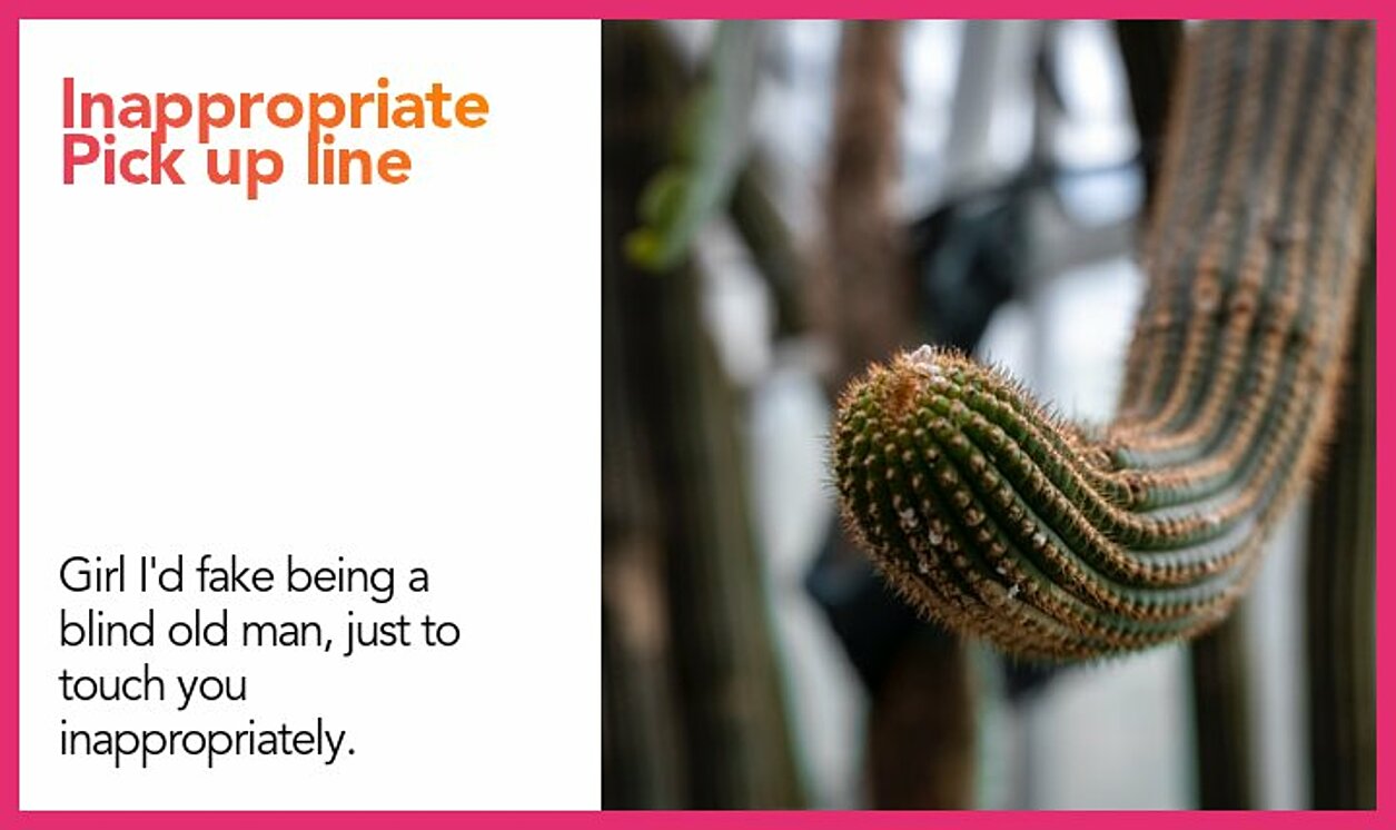 inappropriate pickup line