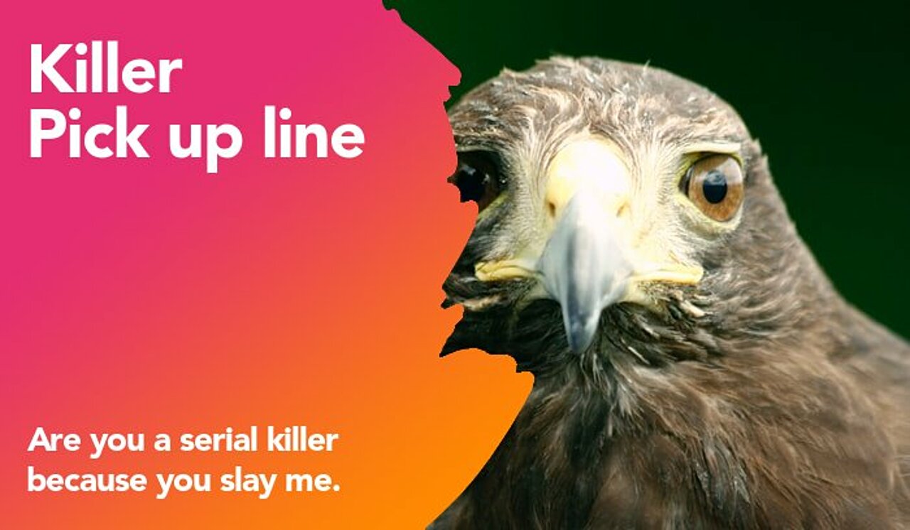 killer pickup line