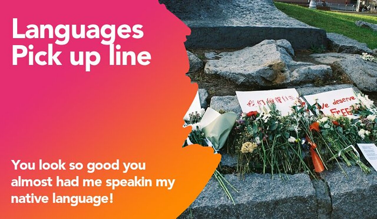 languages pickup line