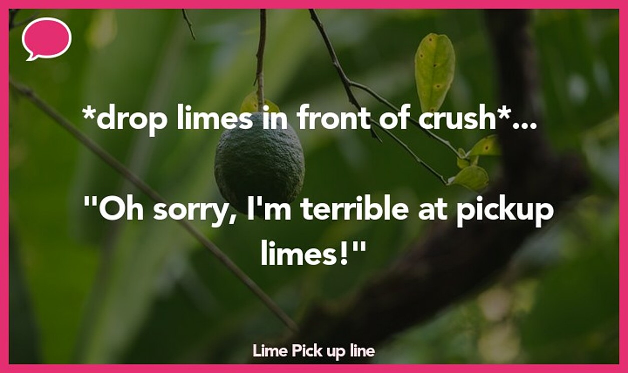 lime pickup line