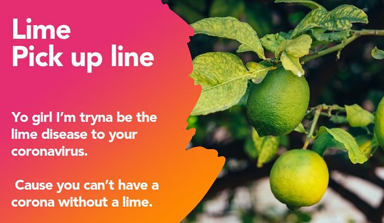 lime pickup line