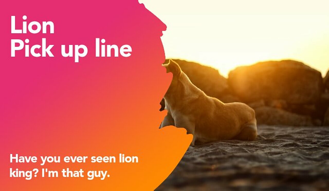 lion pickup line