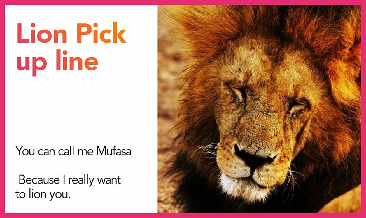 lion pickup line