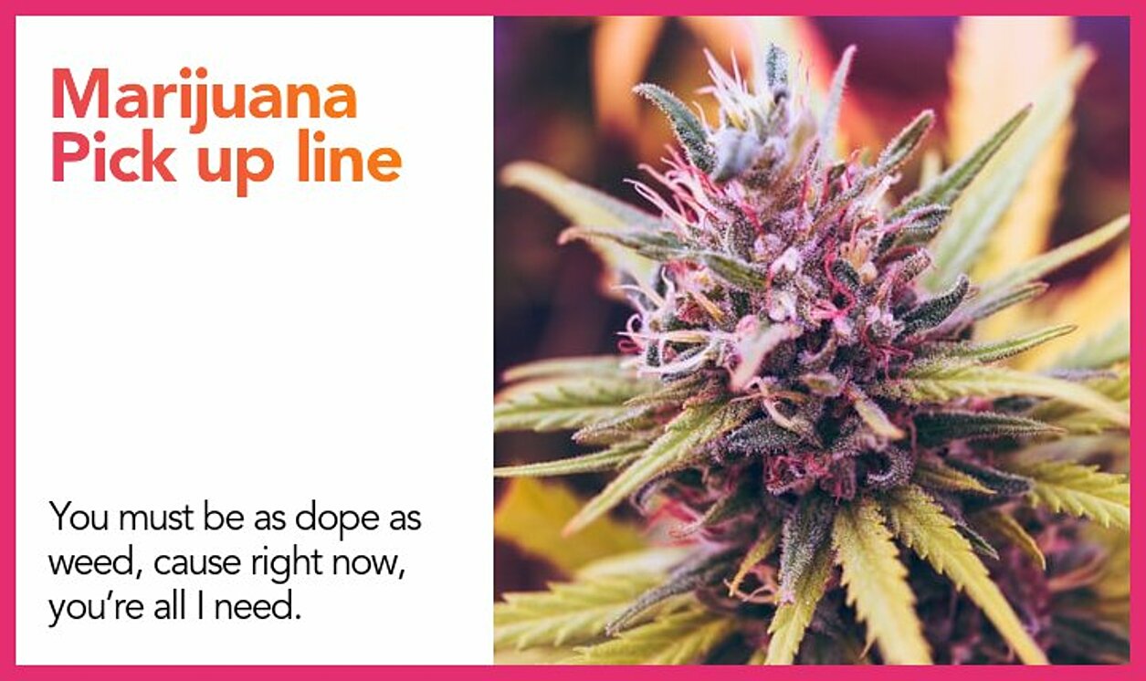 marijuana pickup line
