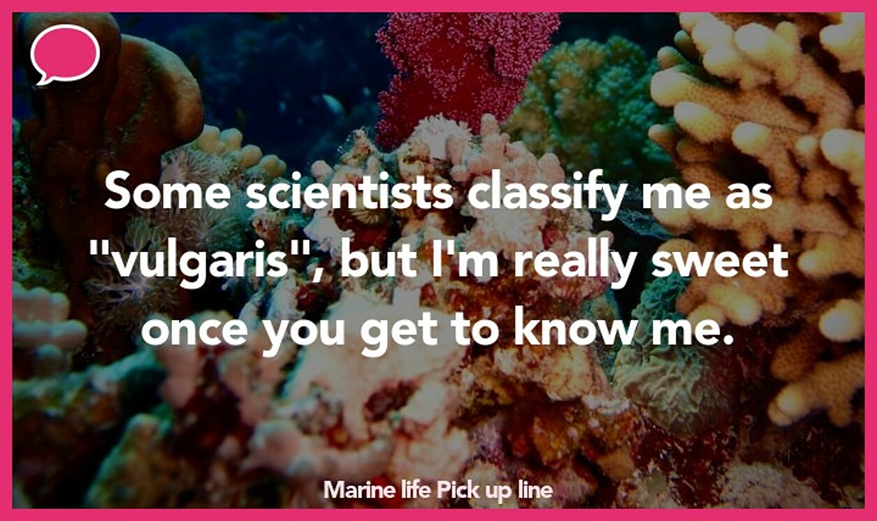 marine life pickup line