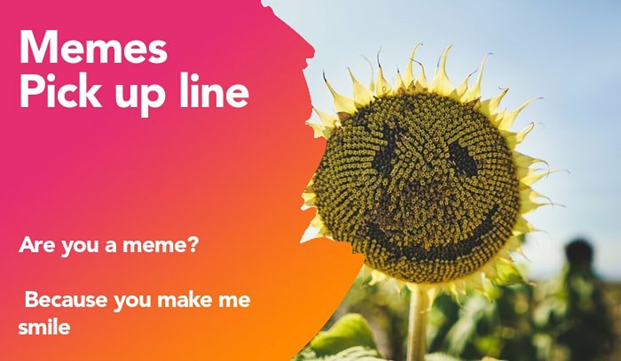 memes pickup line