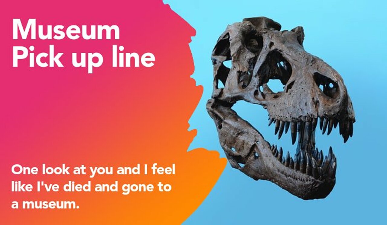 museum pickup line