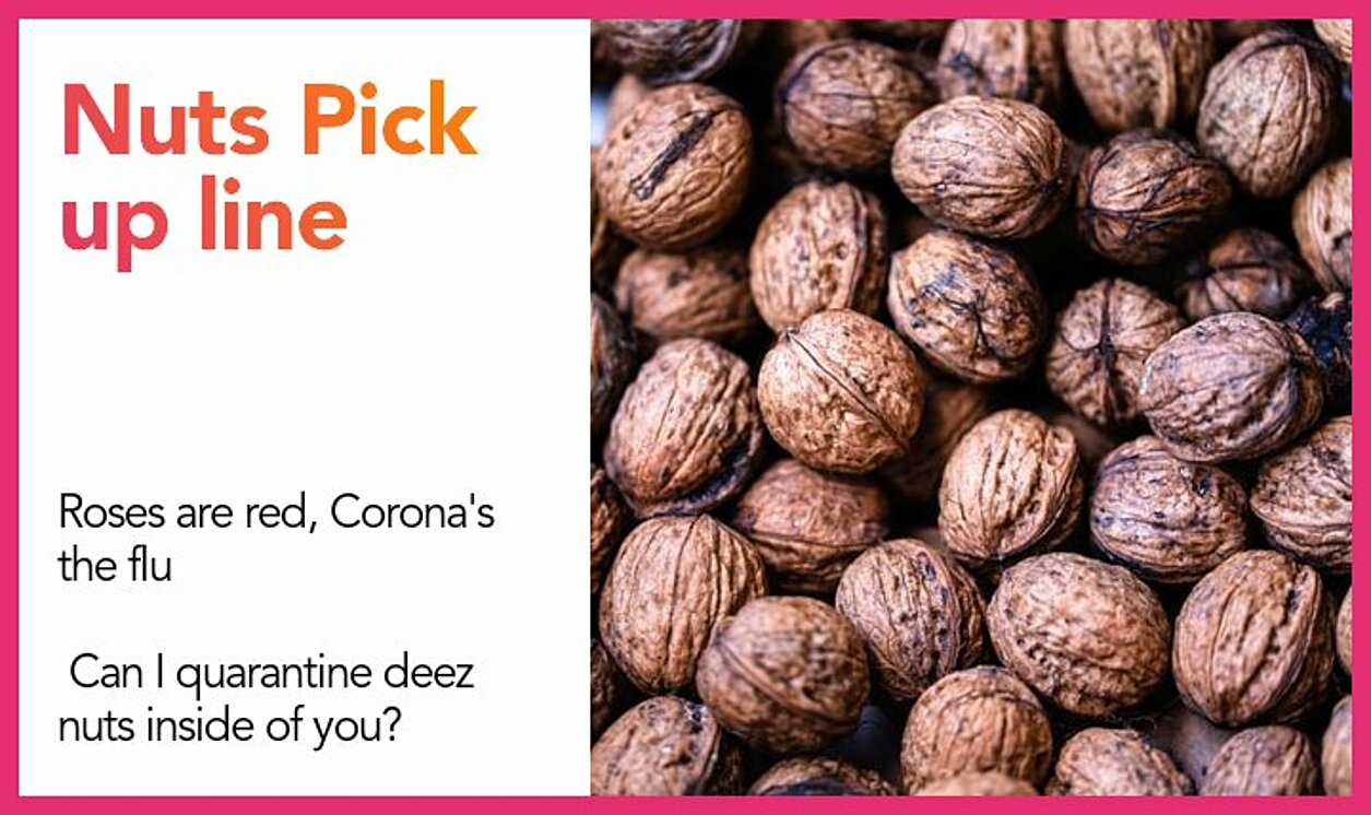 50 Nuts Pick Up Lines The Pickup Lines