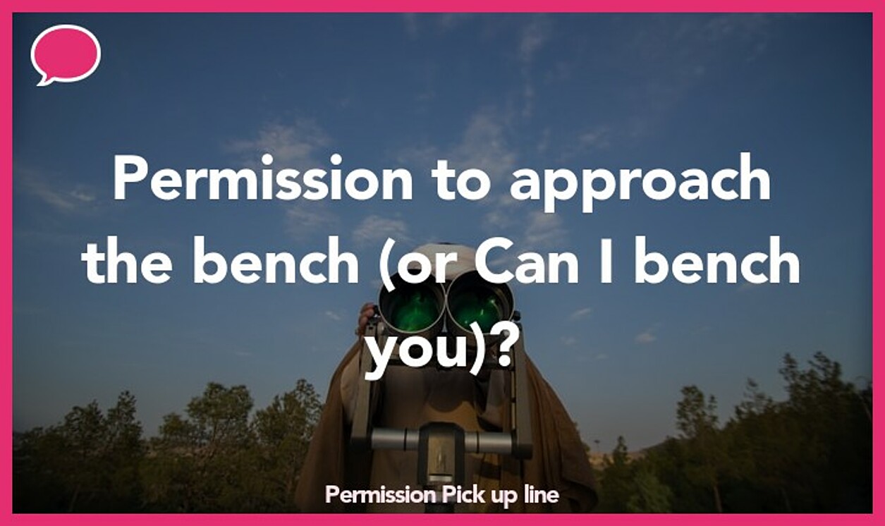 permission pickup line