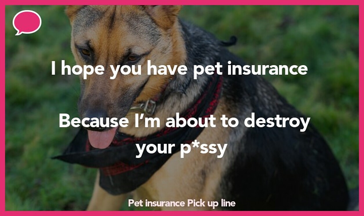 pet insurance pickup line
