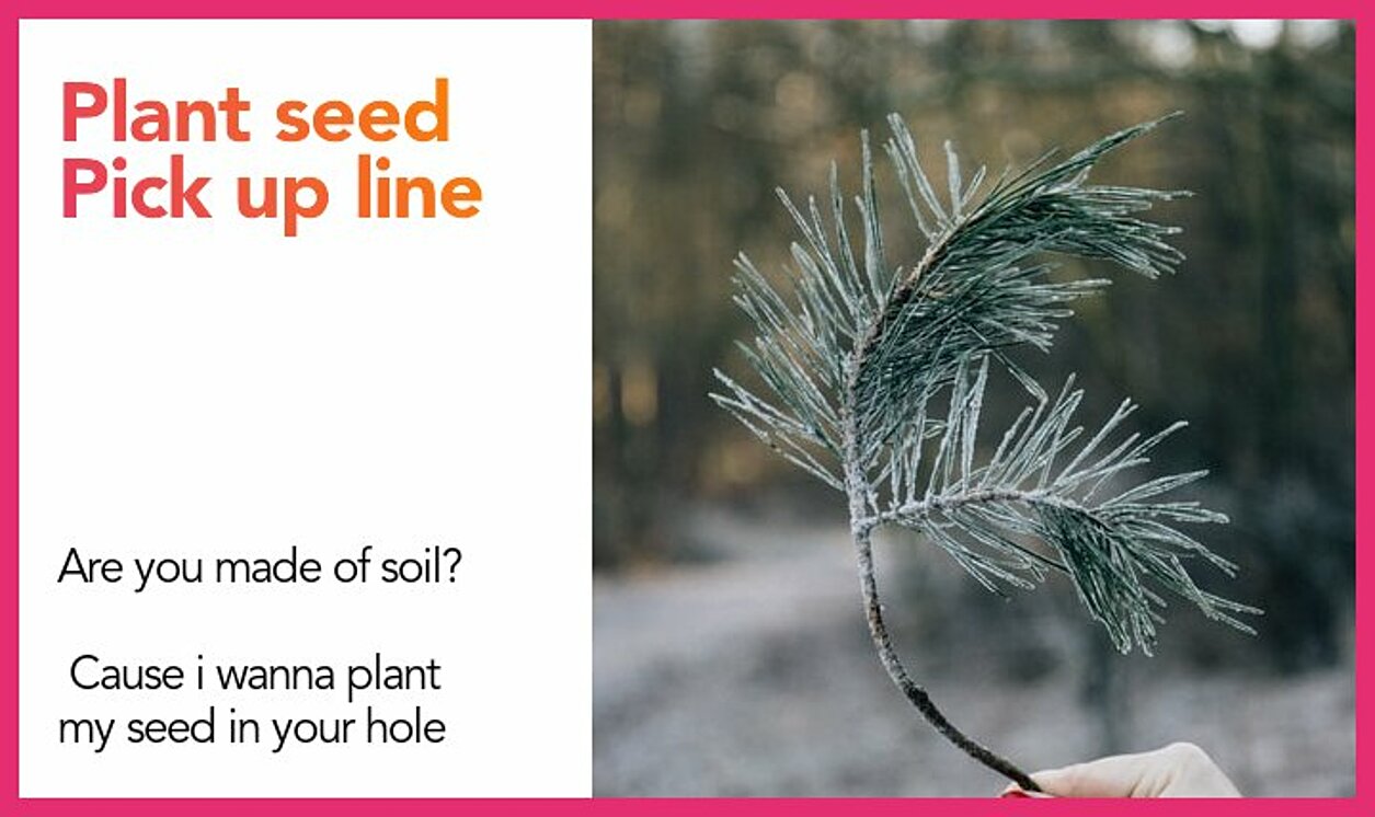 plant seed pickup line