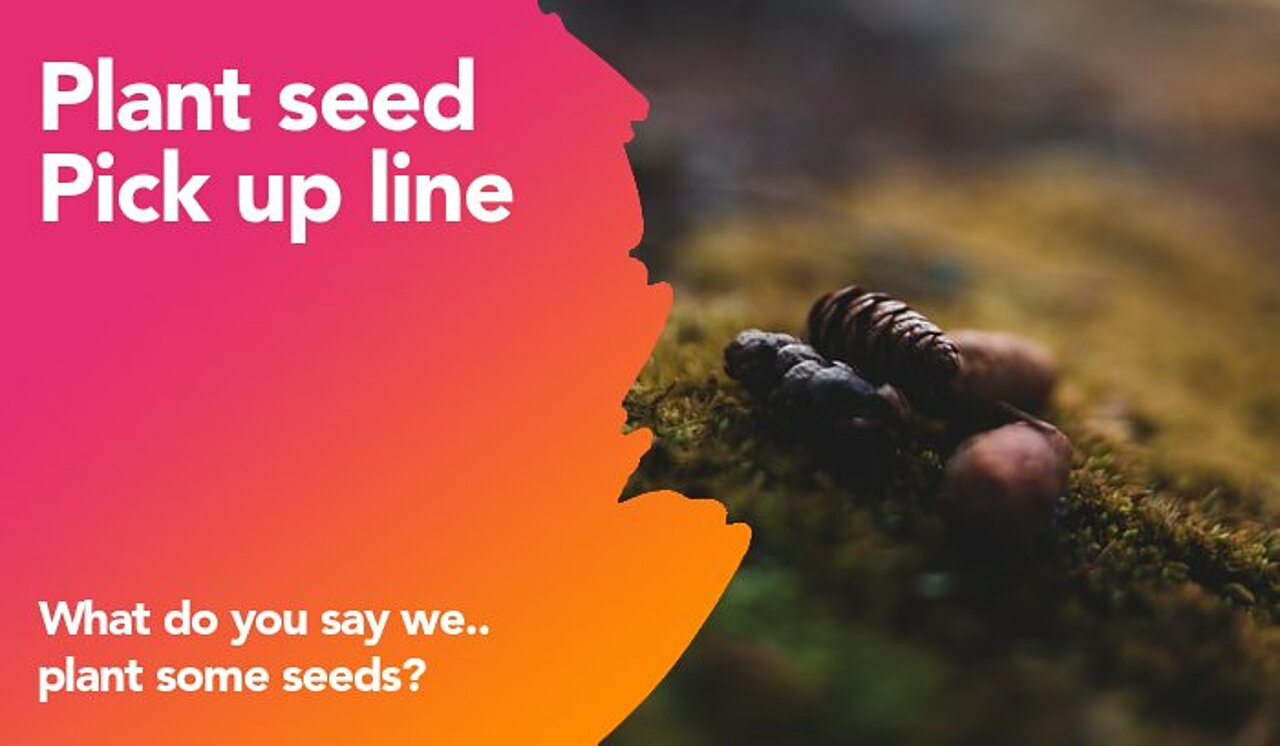 plant seed pickup line