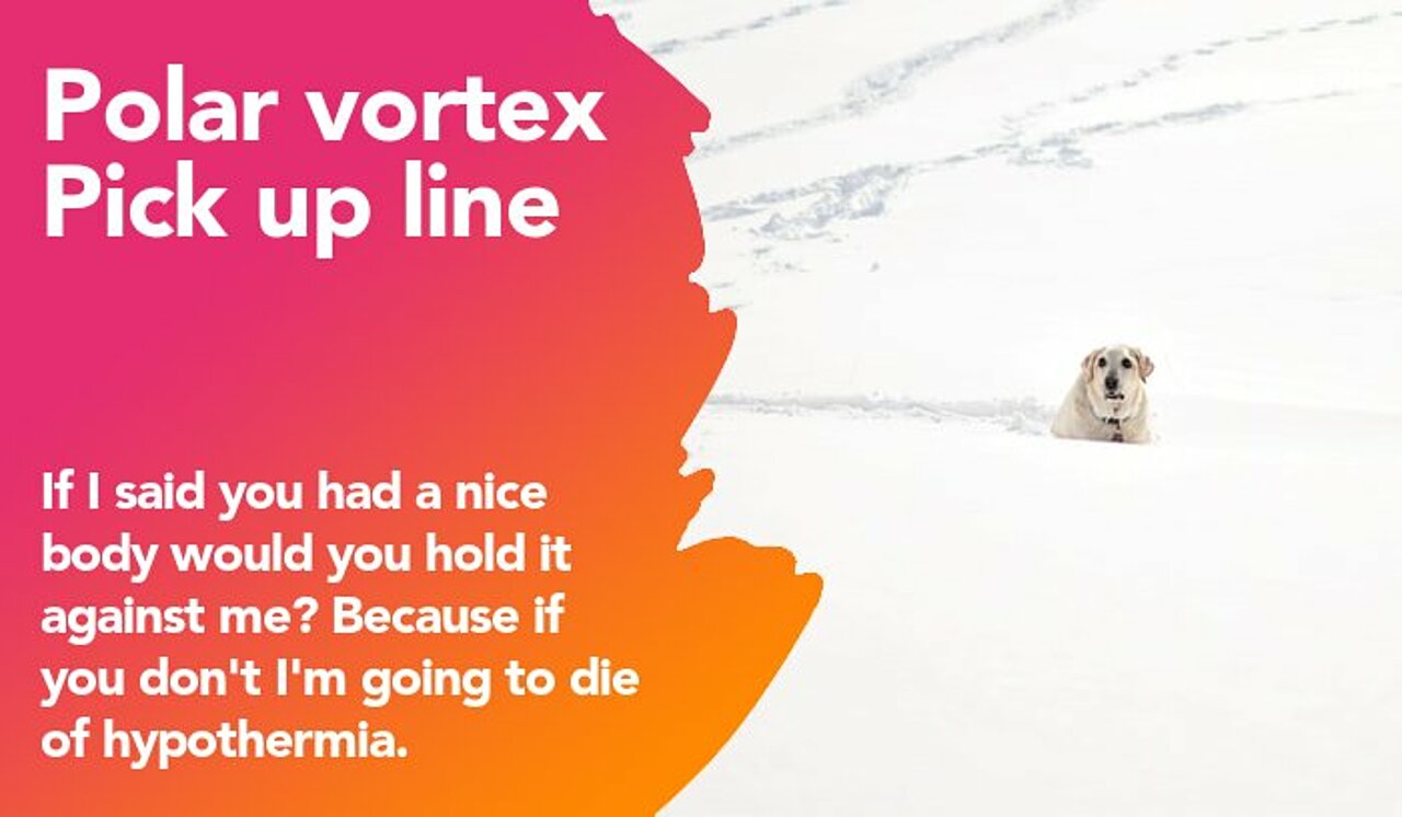 polar vortex pickup line