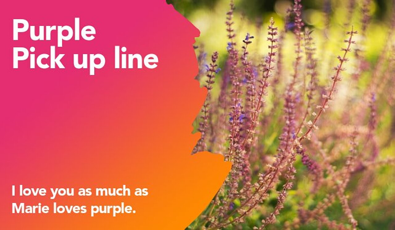 purple pickup line