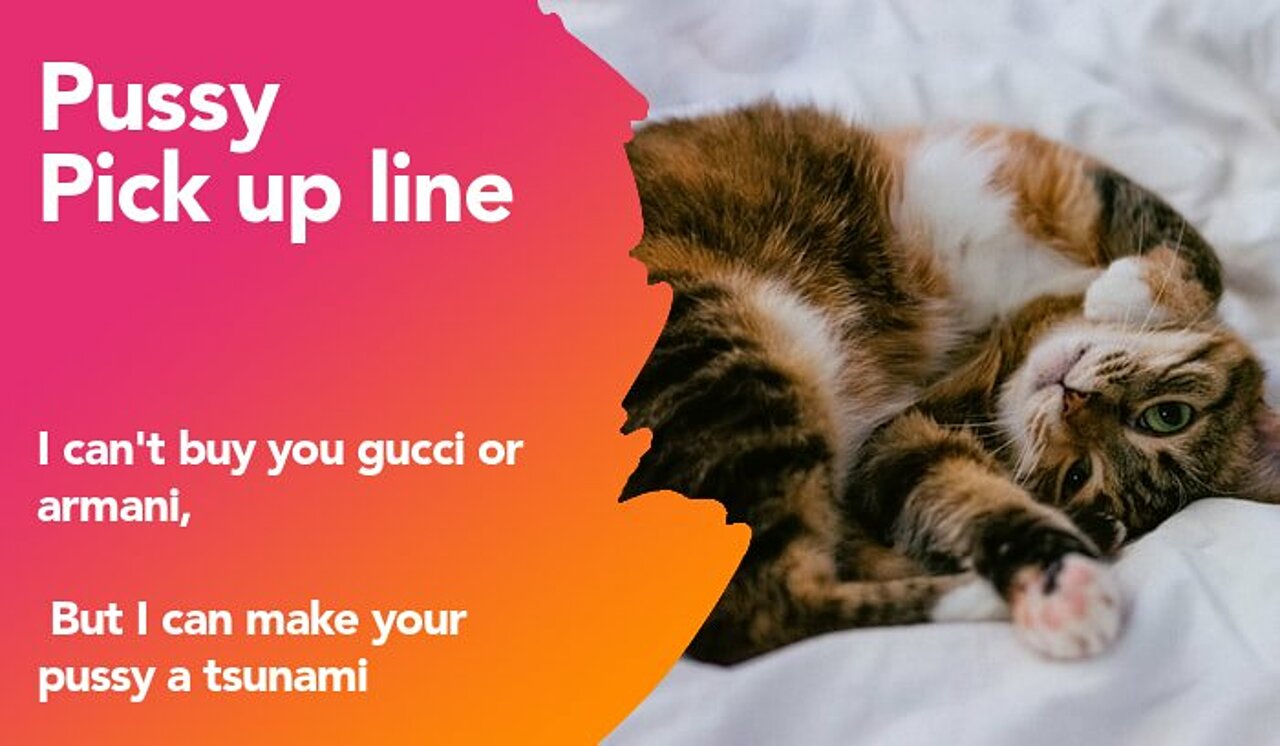 pussy pickup line