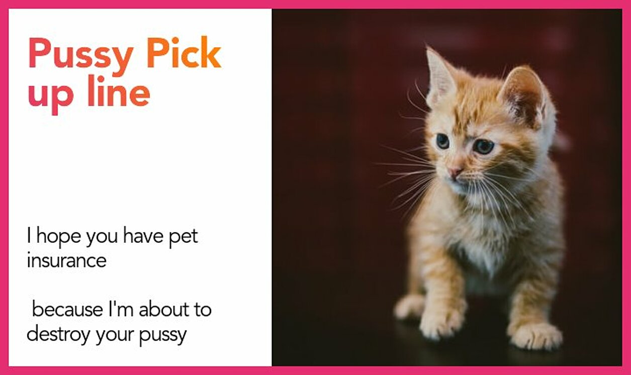 pussy pickup line