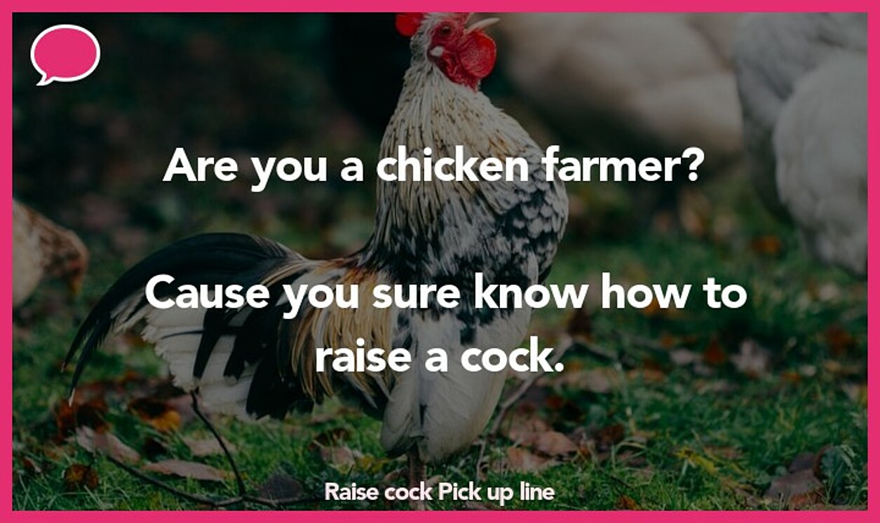 raise cock pickup line