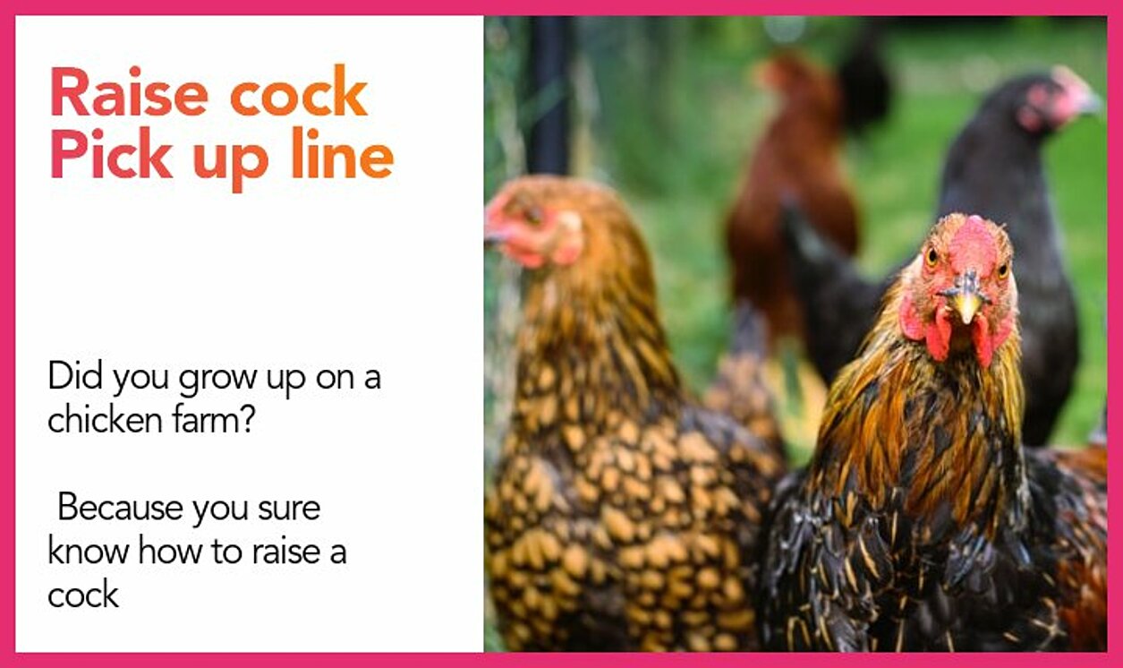 raise cock pickup line