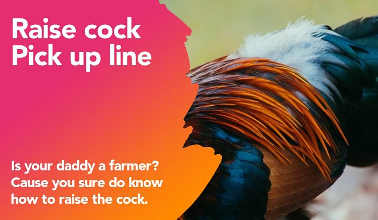 raise cock pickup line